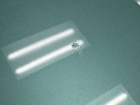 1963 Chevrolet Impala