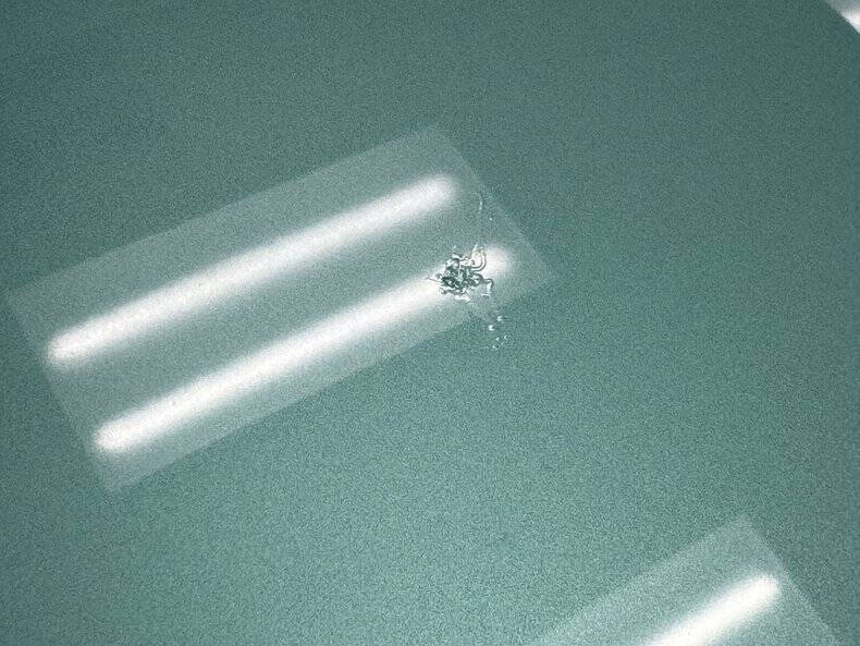 1963 Chevrolet Impala