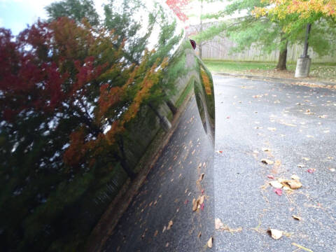 1981 Pontiac Firebird