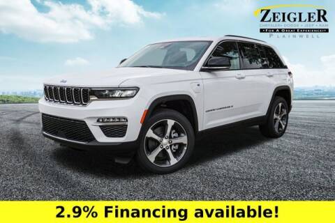 2023 Jeep Grand Cherokee for sale at Harold Zeigler Ford - Jeff Bishop in Plainwell MI