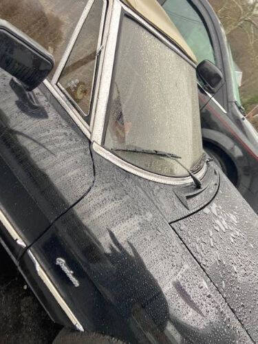 1987 Alfa Romeo Graduate Spider