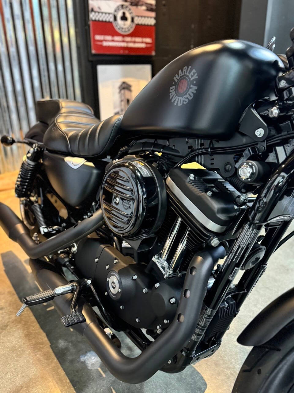 2022 Harley-Davidson XL 883 Sportster for sale at TEXAS MOTORS POWERSPORT in ORLANDO, FL