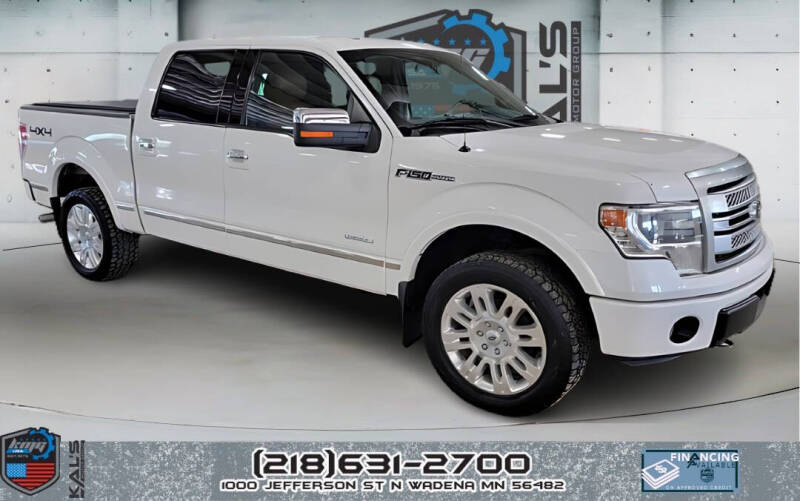 2014 Ford F-150 for sale at Kal's Motor Group Wadena in Wadena MN