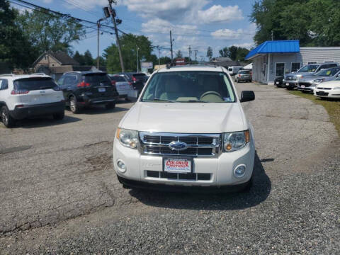 2011 Ford Escape XLT