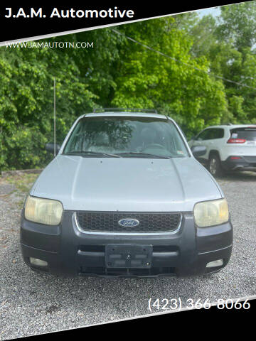2002 Ford Escape for sale at J.A.M. Automotive in Surgoinsville TN