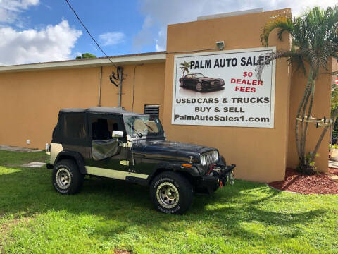 1992 Jeep Wrangler for sale at Palm Auto Sales in West Melbourne FL