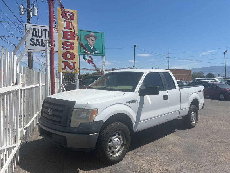 2010 Ford F-150 for sale at Robert B Gibson Auto Sales INC in Albuquerque NM