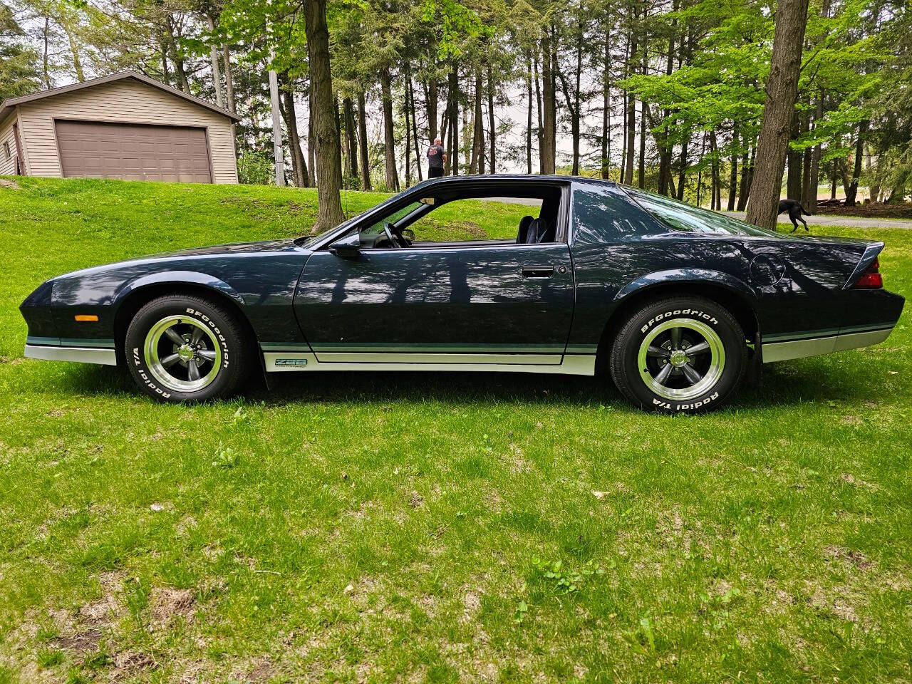 1982 Chevrolet Camaro 6