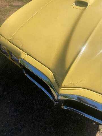 1969 Pontiac Firebird