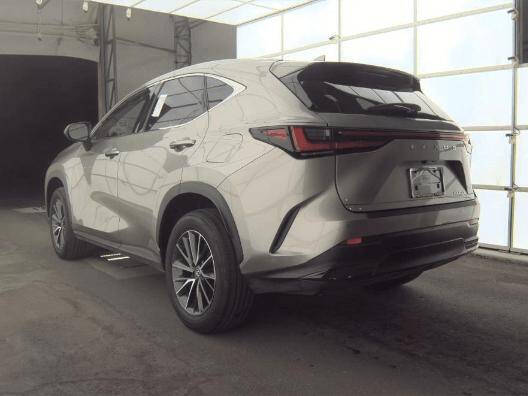 2024 Lexus NX 250 Premium