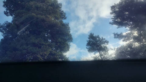 2008 Ford Mustang GT Deluxe