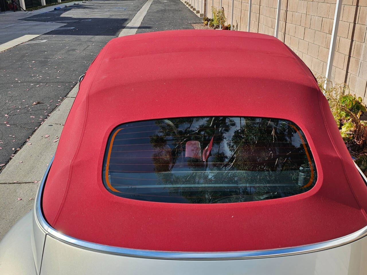 2009 Volkswagen New Beetle Convertible 5