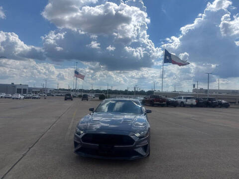 2022 Ford Mustang EcoBoost