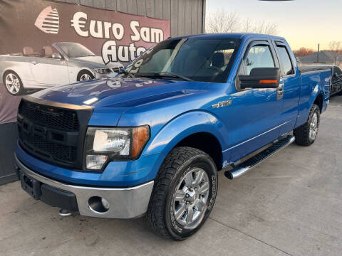 2010 Ford F-150 for sale at Euro Sam Auto in Overland Park KS