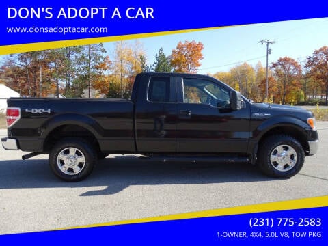 2014 Ford F-150 for sale at DON'S ADOPT A CAR in Cadillac MI