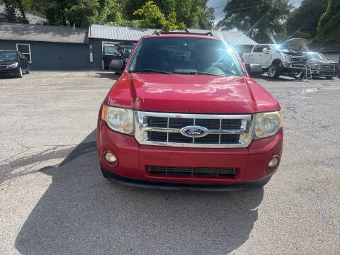 2011 Ford Escape XLT