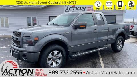 2014 Ford F-150 for sale at Action Motor Sales in Gaylord MI