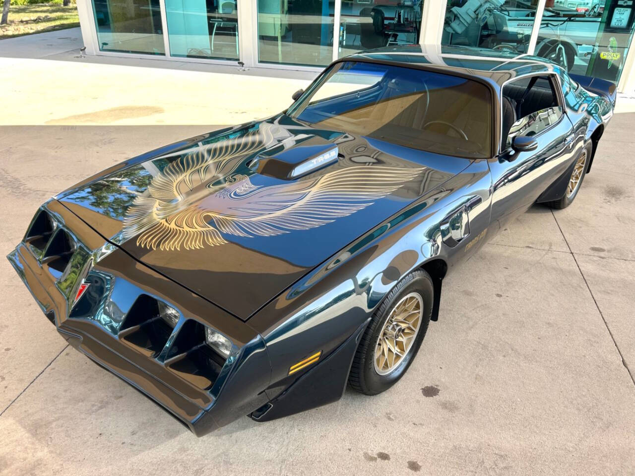 1981 Pontiac Firebird 22