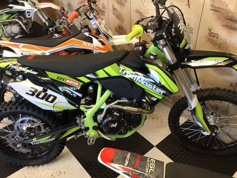 2025 TrailMaster 38E