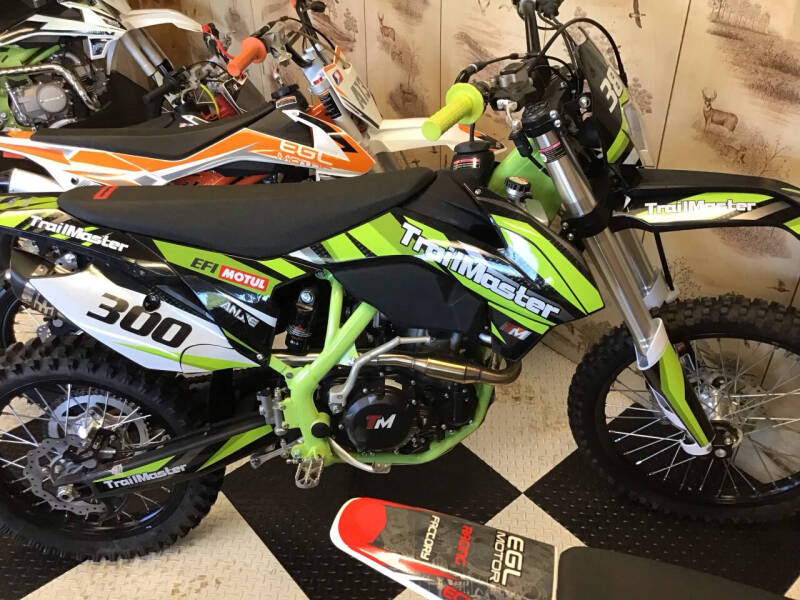 2025 TrailMaster 38E