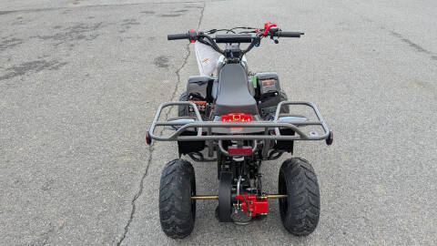 2024 TrailMaster Mini 110 Sport