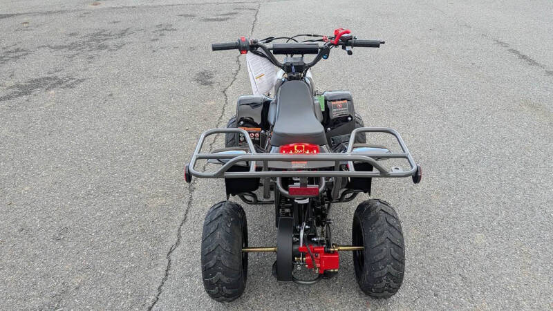 2025 TrailMaster Mini 110 Sport