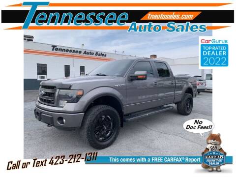 2013 Ford F-150 for sale at Tennessee Auto Sales in Elizabethton TN