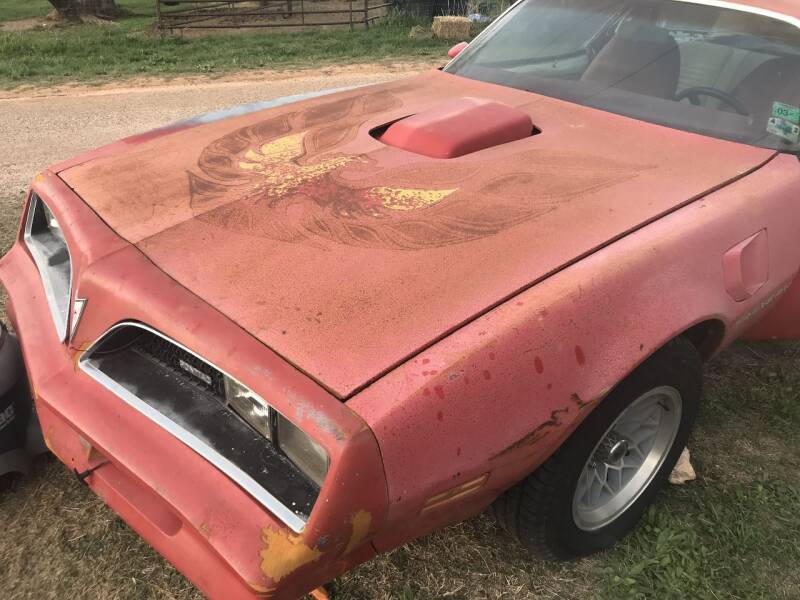 1978 Pontiac Trans Am for sale at CLASSIC MOTOR SPORTS in Winters TX