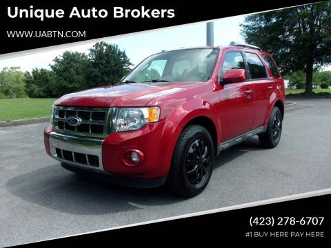 2011 Ford Escape for sale at Unique Auto Brokers in Kingsport TN