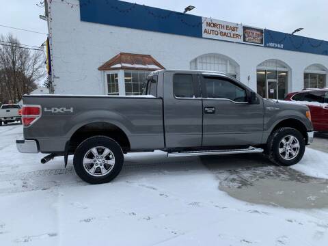 2011 Ford F-150 for sale at North East Auto Gallery in North East PA