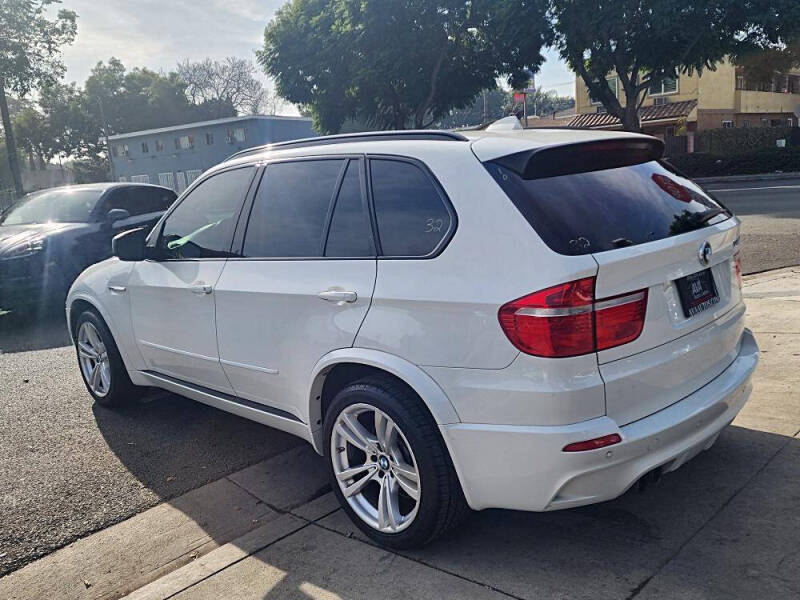 2010 BMW X5 M