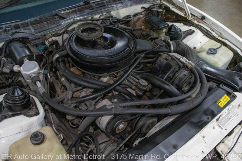 1984 Pontiac Firebird Trans Am