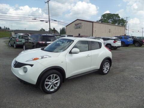 2013 Nissan JUKE for sale at Terrys Auto Sales in Somerset PA