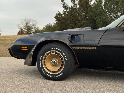 1981 Pontiac Firebird Trans Am