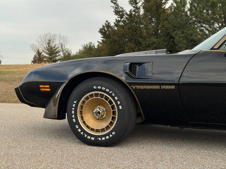 1981 Pontiac Firebird Trans Am