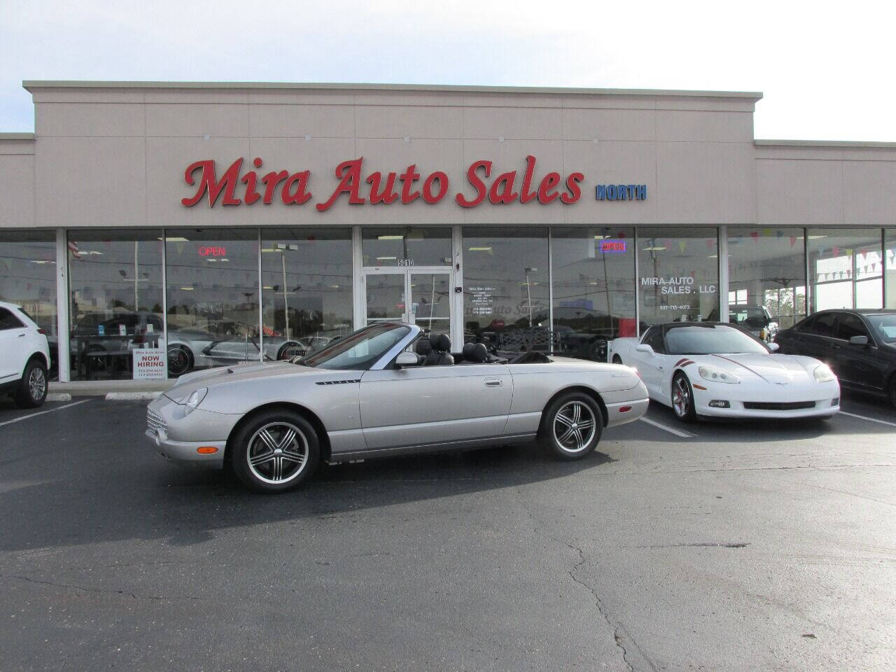 Silver 2004 Ford Thunderbird Deluxe Convertible Deluxe 2dr Convertible 1