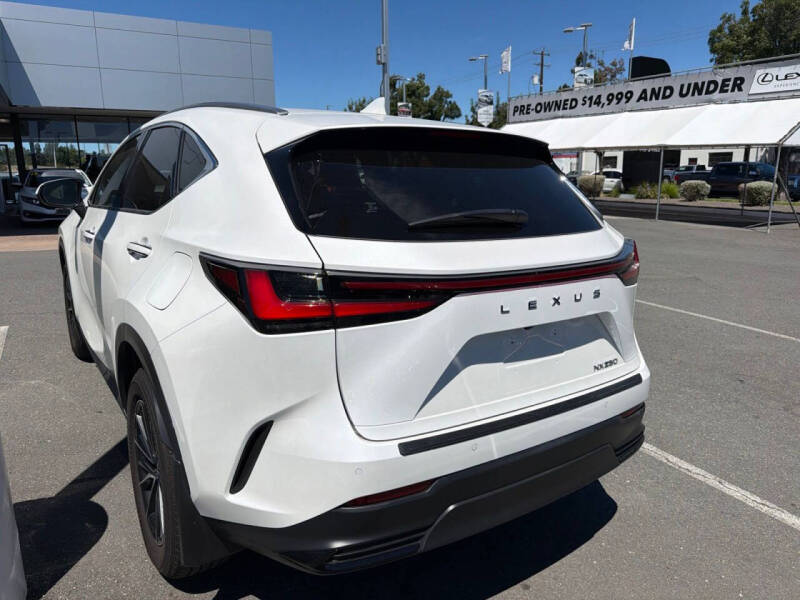 2025 Lexus NX 250 Premium