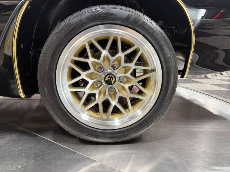 1981 Pontiac Firebird Trans Am