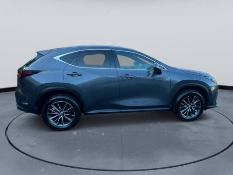 2024 Lexus NX 250