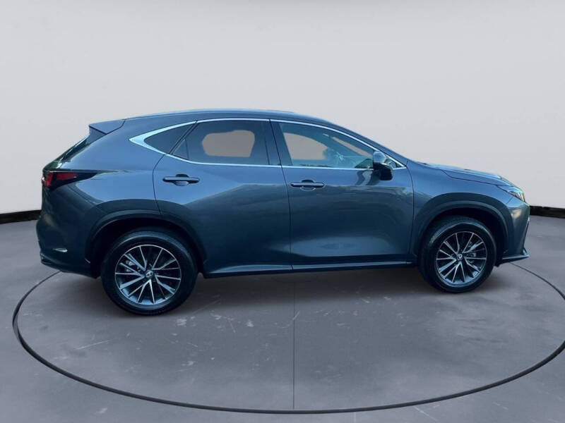 2024 Lexus NX 250