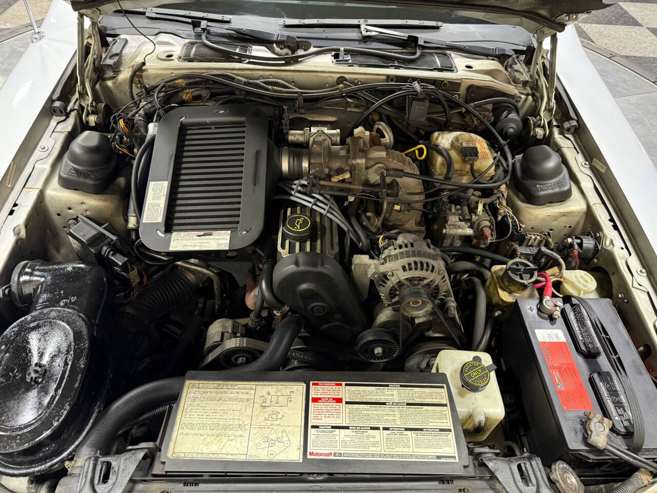 1988 Ford Thunderbird 64
