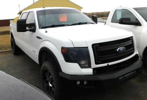 2014 Ford F-150 for sale at Will Deal Auto & Rv Sales in Great Falls MT