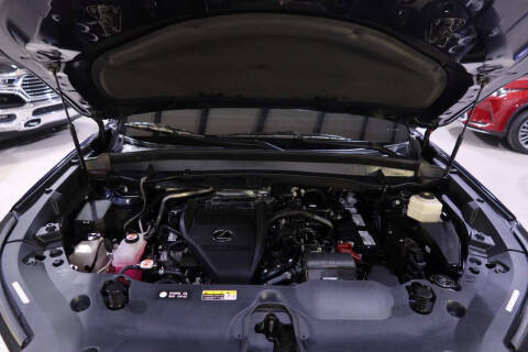 2024 Lexus TX 350 Luxury