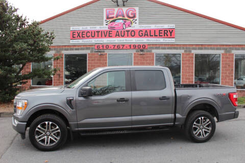 2021 Ford F-150 for sale at EXECUTIVE AUTO GALLERY INC in Walnutport PA