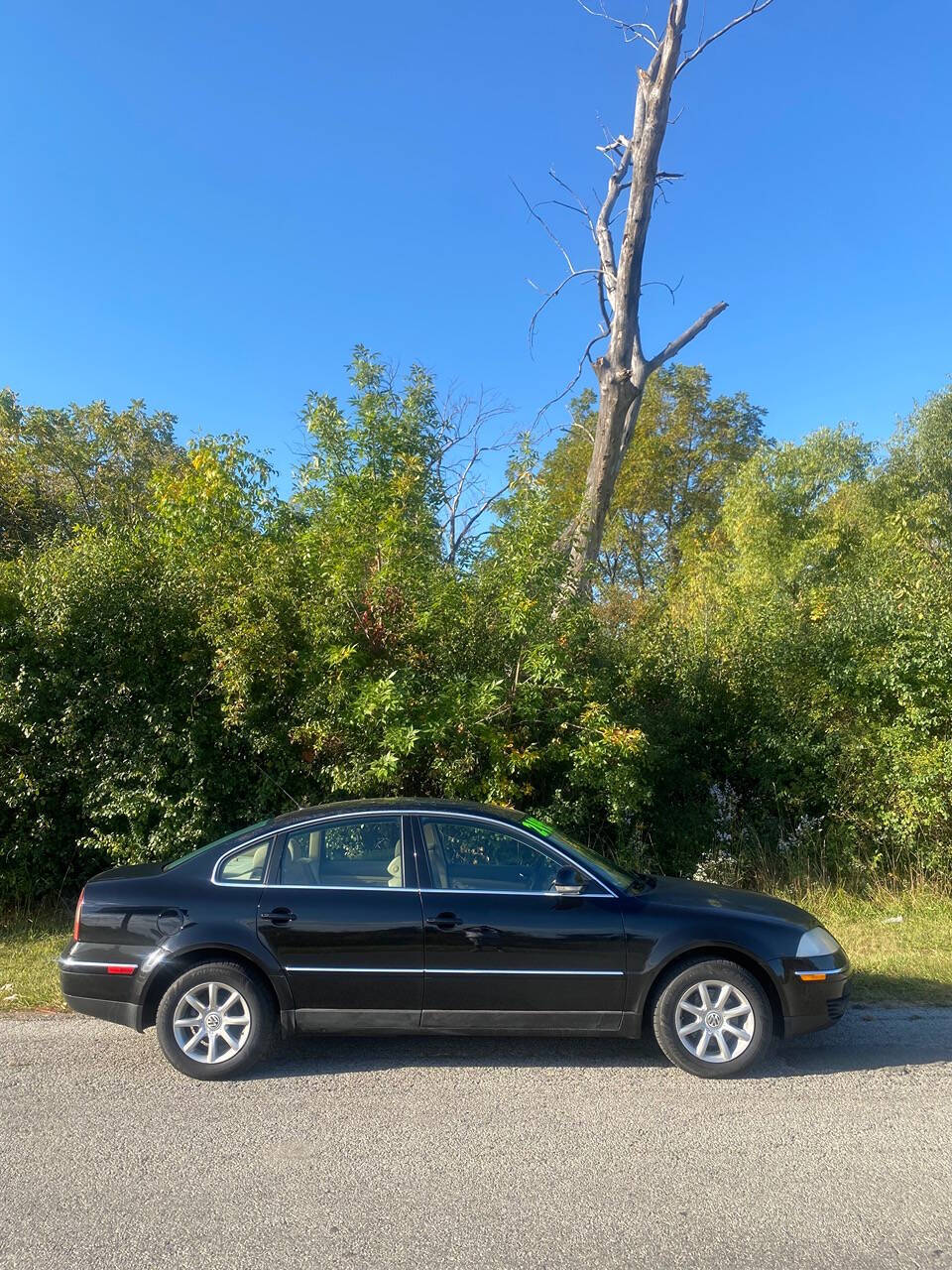 2004 Volkswagen Passat for sale at Endless auto in Blue Island, IL