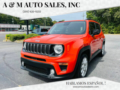 2019 Jeep Renegade for sale at A & M Auto Sales, Inc in Alabaster AL