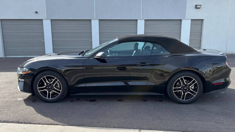 2019 Ford Mustang