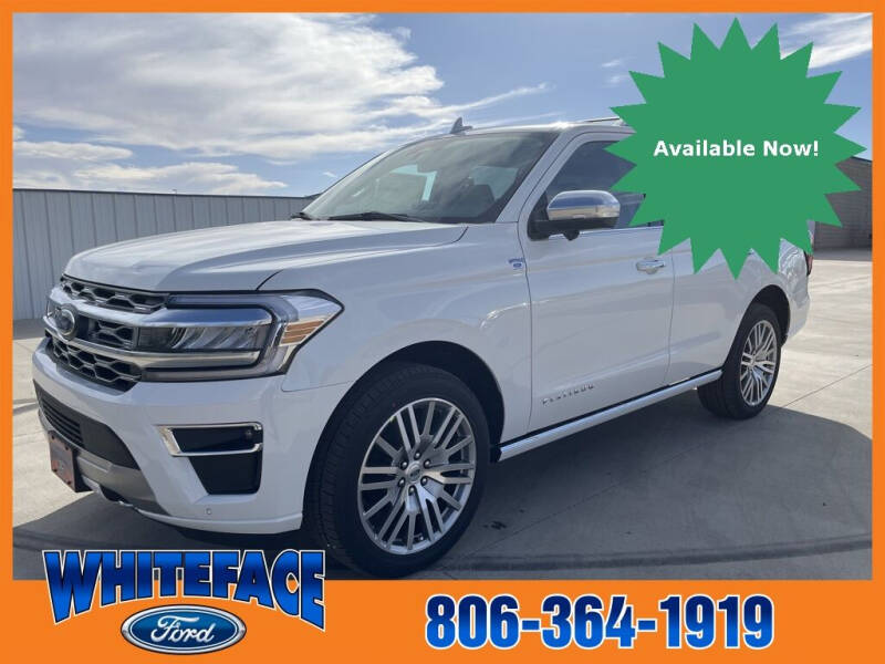 2023 Ford Expedition for sale at Whiteface Ford in Hereford TX