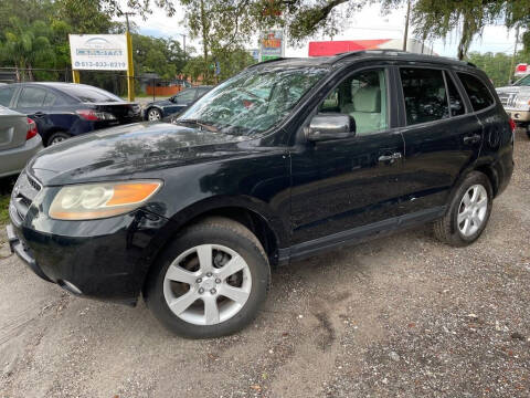 2007 Hyundai Santa Fe for sale at Carlotta Auto Sales in Tampa FL