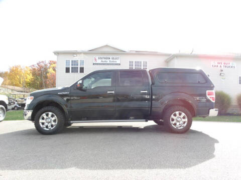 2014 Ford F-150 for sale at SOUTHERN SELECT AUTO SALES in Medina OH